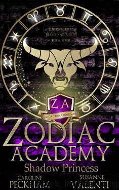 Zodiac Academy 4: Shadow Princess: An Academy Bully Romance (Supernatural Bullies and Beasts) by Caroline Peckham & Susanne Valenti