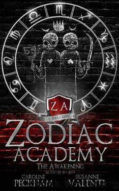 Zodiac Academy: The Awakening As Told By The Boys by Caroline Peckham & Susanne Valenti