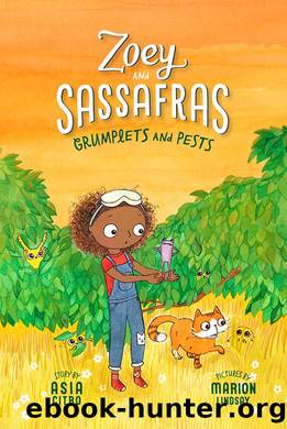 Zoey and Sassafras: Grumplets and Pests by Asia Citro