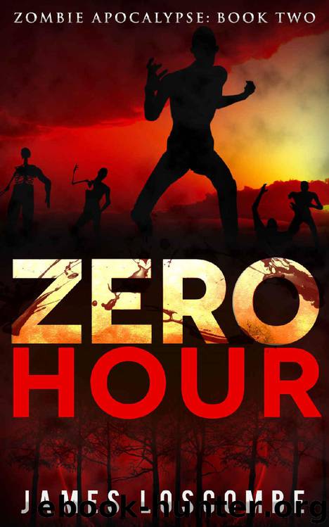 Zombie Apocalypse (Book 2): Zero Hour by James Loscombe