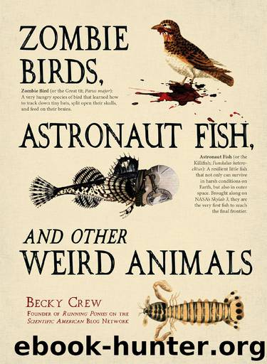 Zombie Birds, Astronaut Fish, and Other Weird Animals by Becky Crew