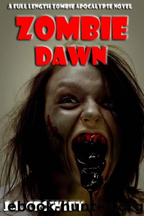 Zombie Dawn by J.A. Crowley