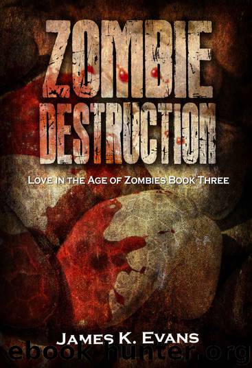 Zombie Destruction: Love in the Age of Zombies Book Three by James Evans