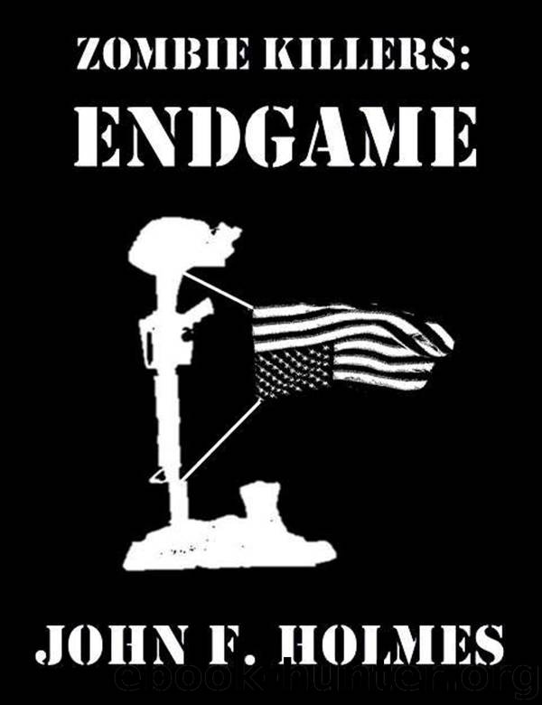 Zombie Killers (Book 5): Endgame by Holmes John F
