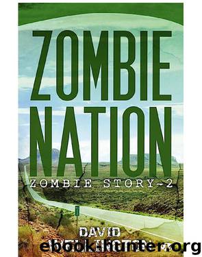 Zombie Story 2 –  Zombie Nation by Wellington David