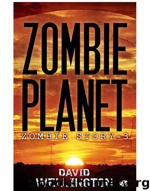 Zombie Story 3 –  Zombie Planet by Wellington David
