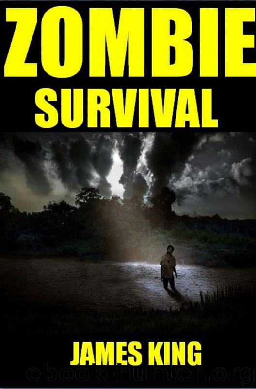 Zombie Survival: A Post Apocalyptic Thriller by King James