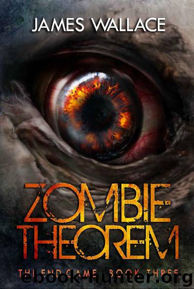Zombie Theorem (Book 3): The End Game by James Wallace