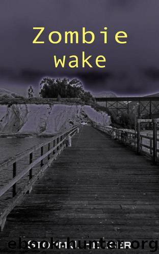 Zombie Wake by Helicer Storm J