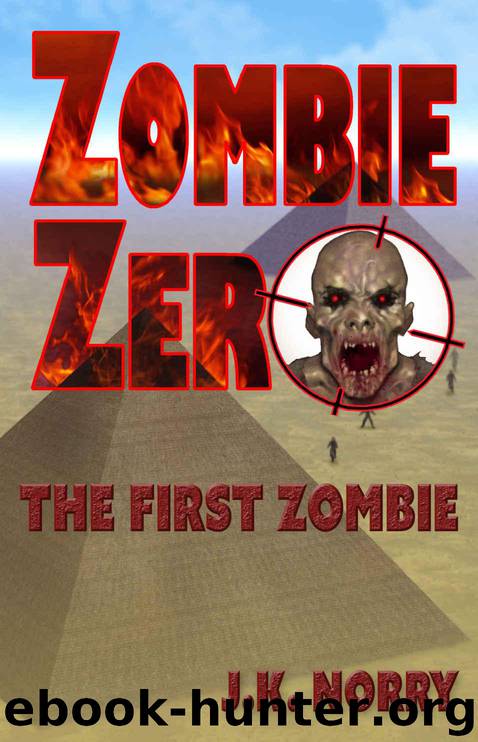 Zombie Zero by J.K. Norry