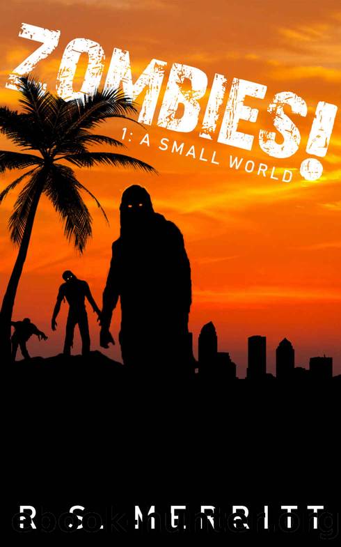 Zombies!_A Small World by R S Merritt