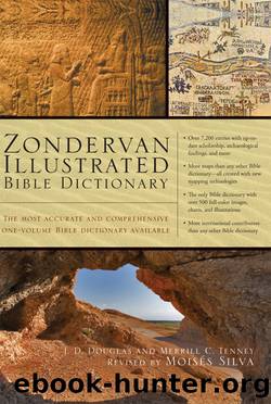 Zondervan Illustrated Bible Dictionary by J. D. Douglas