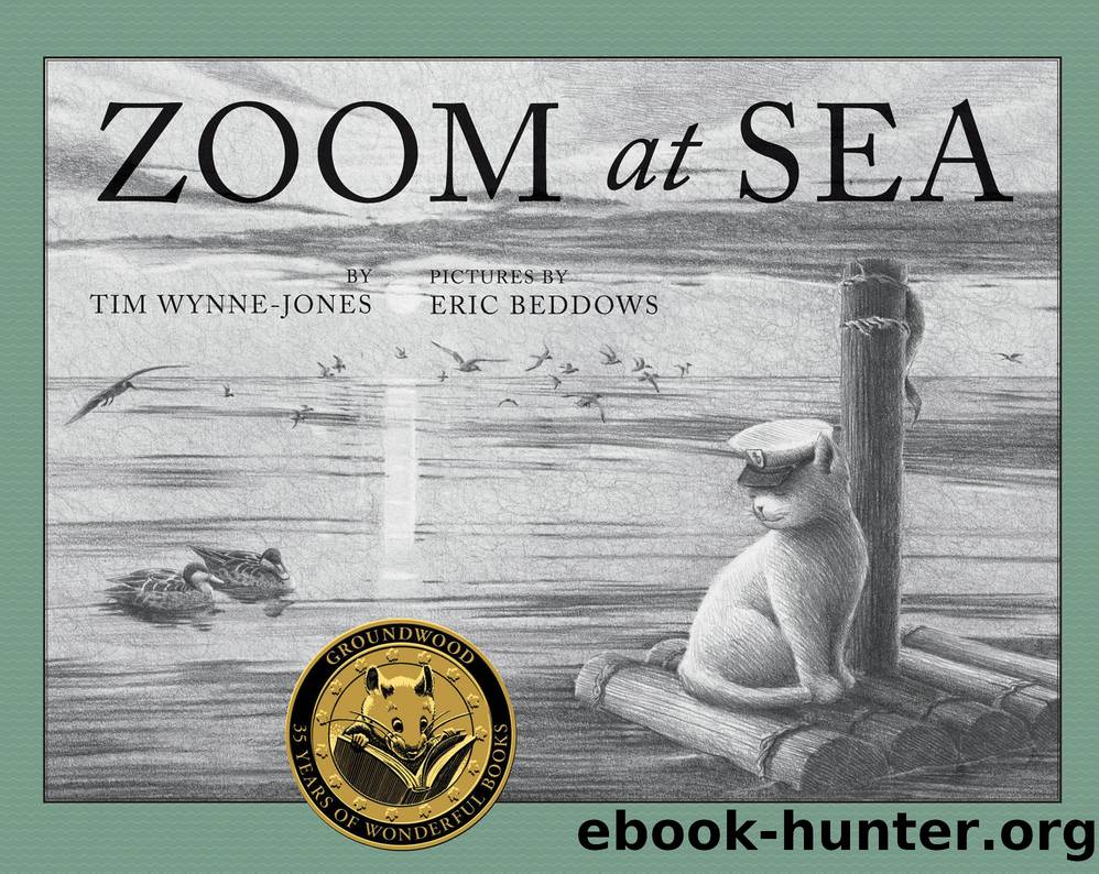 Zoom At Sea by Tim Wynne-Jones