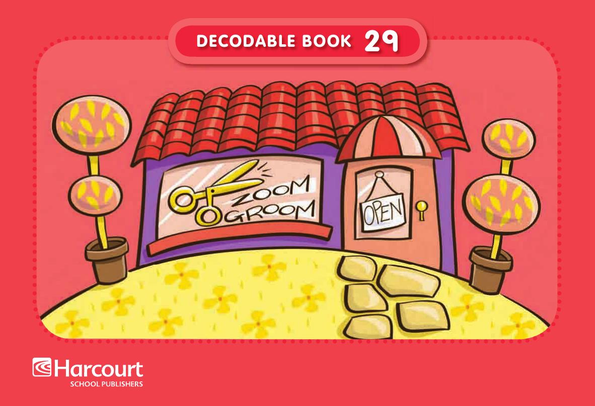 Zoom Groom - Decodable Book 29 Grade 1 by Nancy Furstinger illustrated by Jackie Snyder