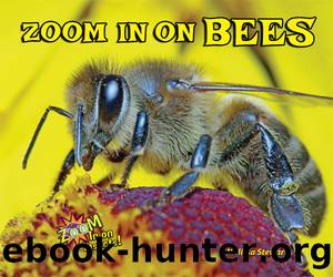 Zoom In on Bees by Melissa Stewart