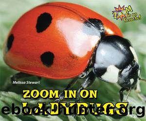 Zoom In on Ladybugs by Melissa Stewart