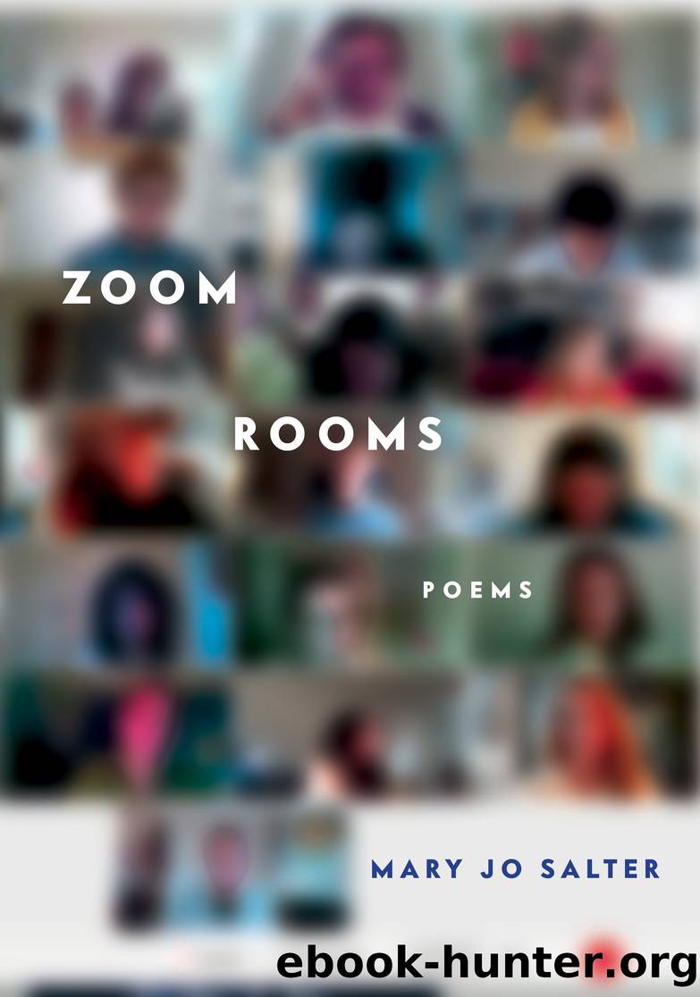 Zoom Rooms by Mary Jo Salter