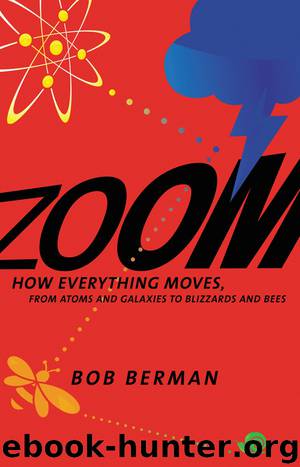 Zoom: From Atoms and Galaxies to Blizzards and Bees: How Everything Moves by Bob Berman