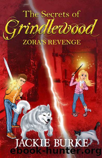 Zora's Revenge by Jackie Burke