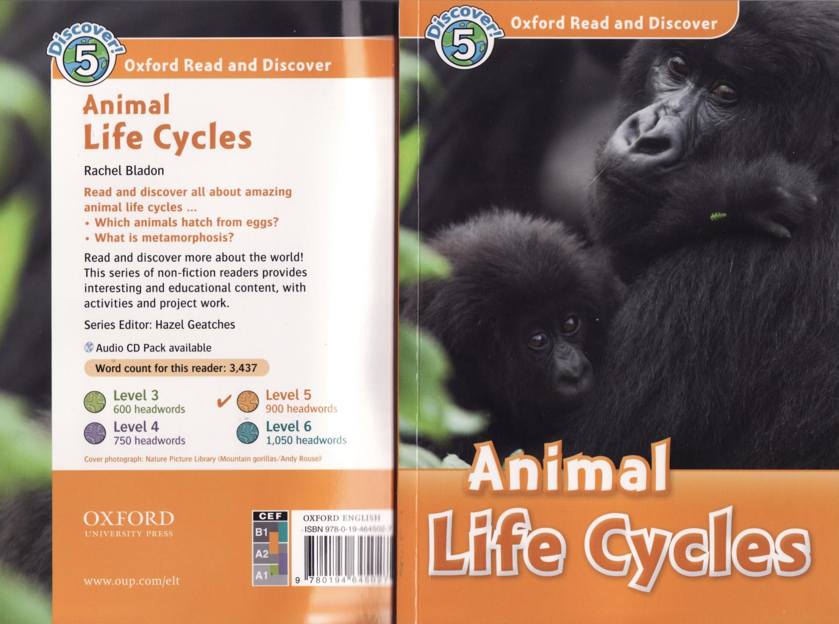 animal life cycles by Unknown