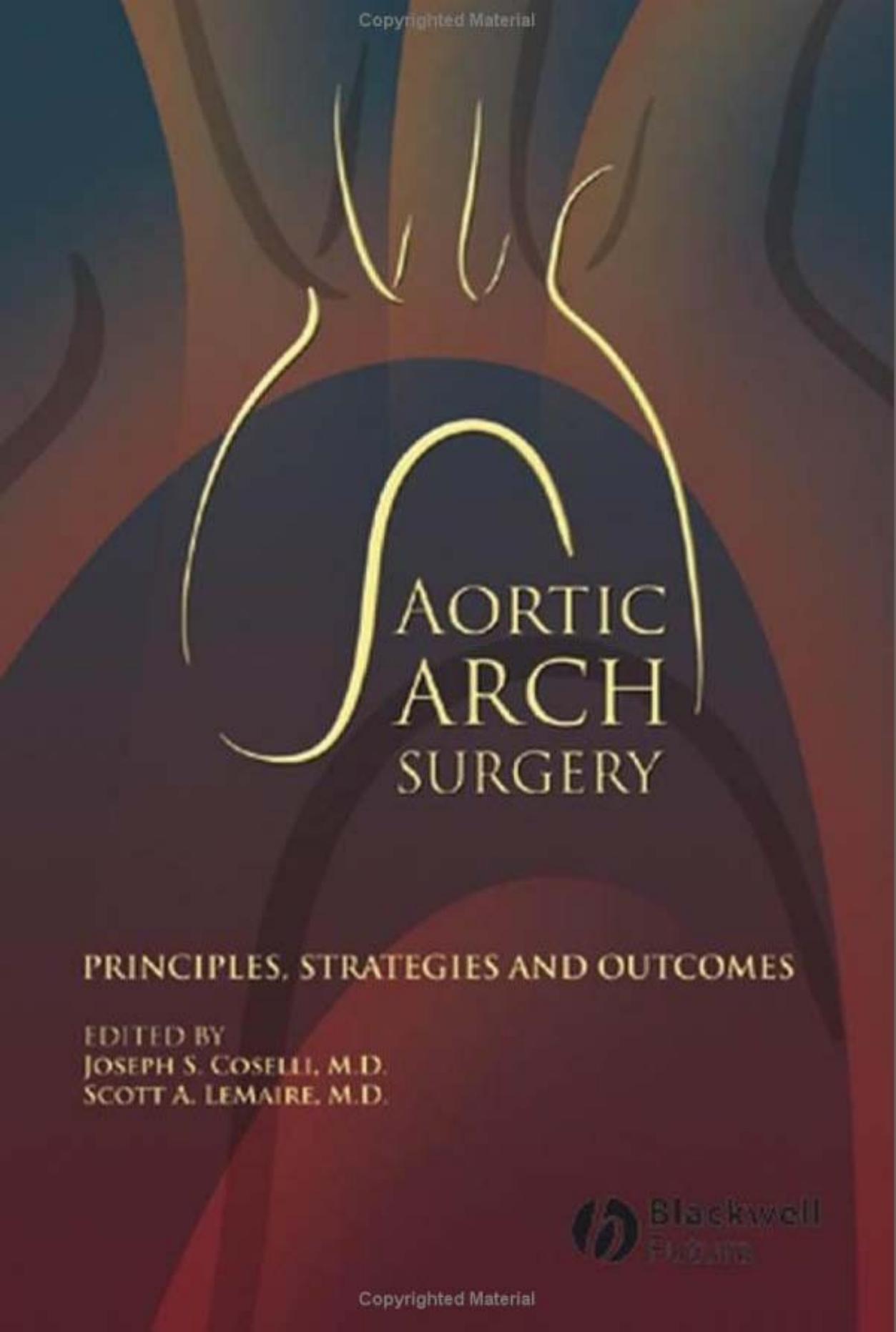 aortic arch surgery principles strategies and outcomes.EBOOKOID by Unknown