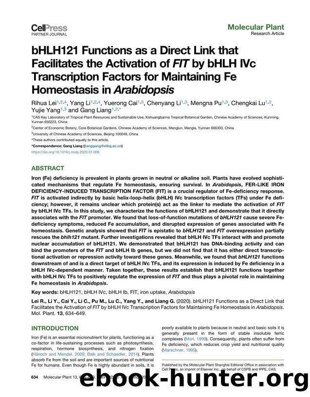bHLH121 Functions as a Direct Link that Facilitates the Activation of FIT by bHLH IVc Transcription Factors for Maintaining Fe Homeostasis in Arabidopsis by Rihua Lei & Yang Li & Yuerong Cai & Chenyang Li & Mengna Pu & Chengkai Lu & Yujie Yang & Gang Liang