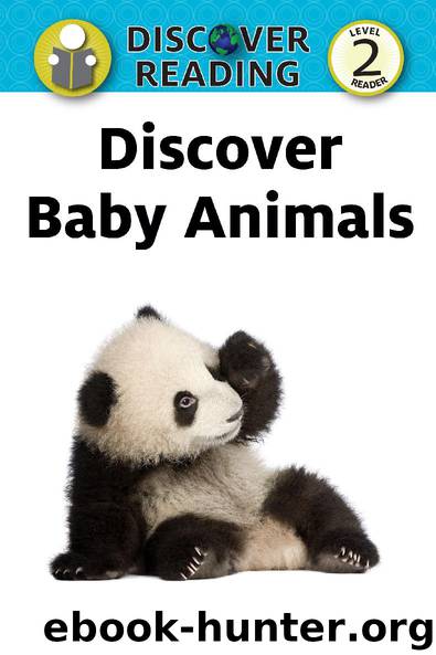 babyanimals by Unknown