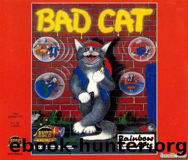 bad cat by Unknown