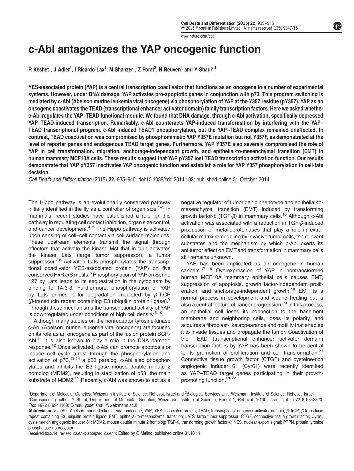 c-Abl antagonizes the YAP oncogenic function by R Keshet & J Adler & I Ricardo Lax & M Shanzer & Z Porat & N Reuven & Y Shaul