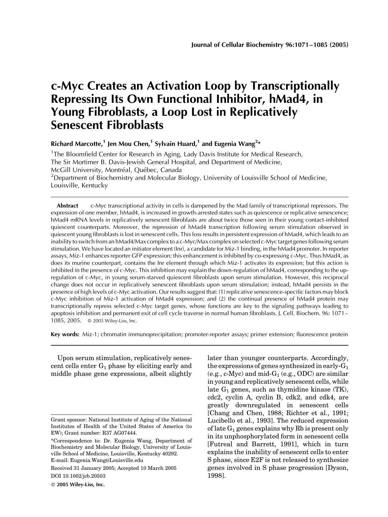 c-Myc creates an activation loop by transcriptionally repressing its own functional inhibitor, hMad4, in young fibroblasts, a loop lost in replicatively senescent fibroblasts by Unknown