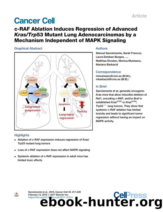 c-RAF Ablation Induces Regression of Advanced KrasTrp53 Mutant Lung Adenocarcinomas by a Mechanism Independent of MAPK Signaling by unknow