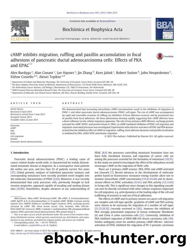 cAMP inhibits migration, ruffling and paxillin accumulation in focal adhesions of pancreatic ductal adenocarcinoma cells: Effects of PKA and EPAC by unknow