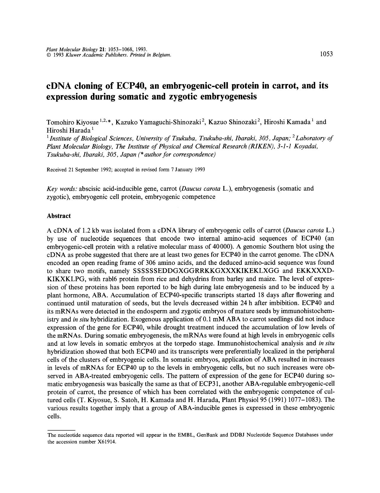 cDNA cloning of ECP40, an embryogenic-cell protein in carrot, and its expression during somatic and zygotic embryogenesis by Unknown