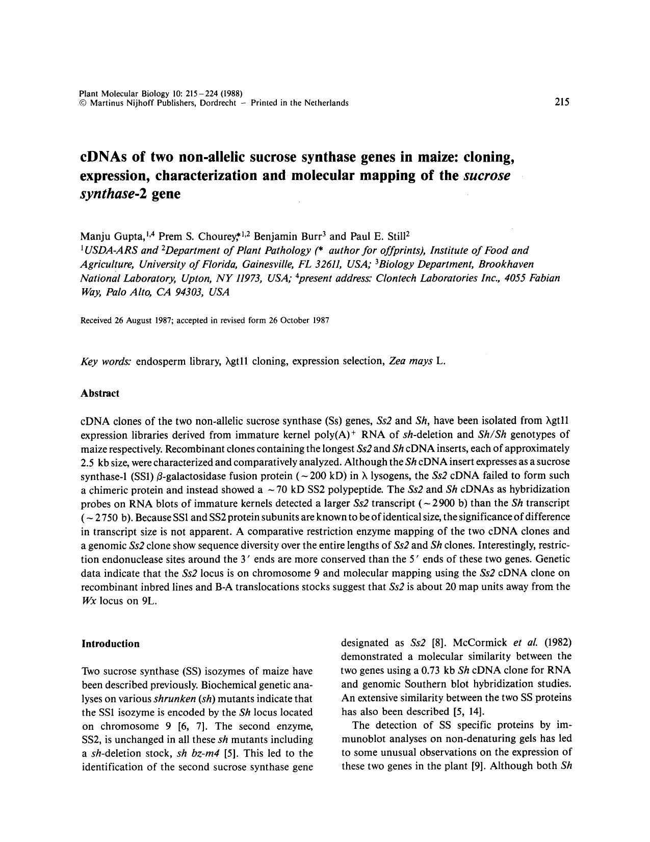 cDNAs of two non-allelic sucrose synthase genes in maize: cloning, expression, characterization and molecular mapping of the <Emphasis Type="Italic">sucrose synthase<Emphasis>-2 gene by Unknown