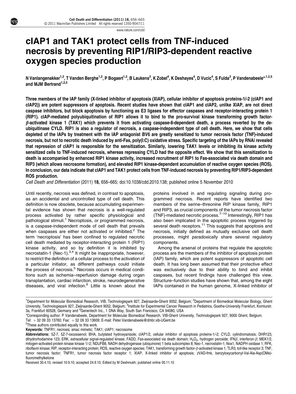 cIAP1 and TAK1 protect cells from TNF-induced necrosis by preventing RIP1&sol;RIP3-dependent reactive oxygen species production by unknow