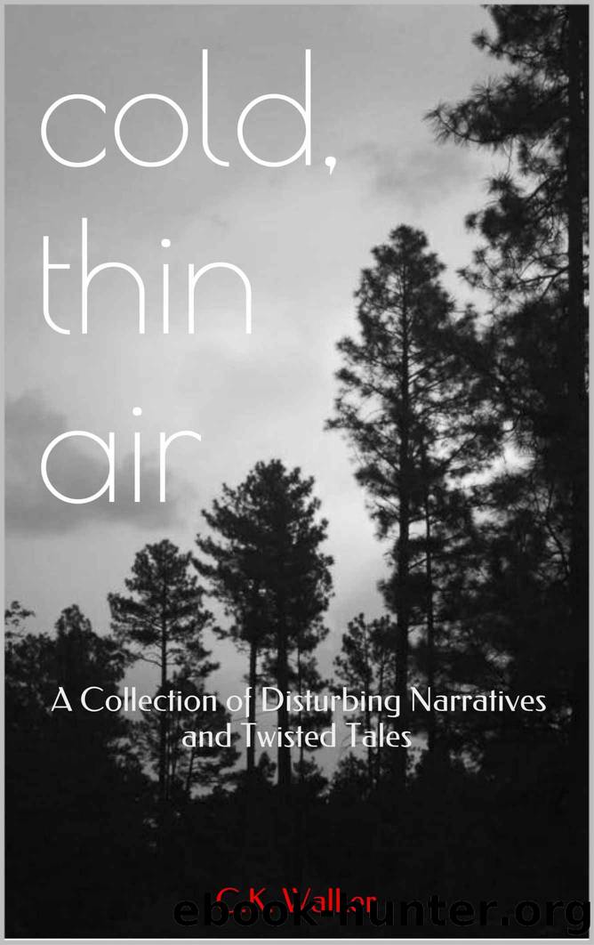 cold, thin air: A Collection of Disturbing Narratives and Twisted Tales by C.K. Walker
