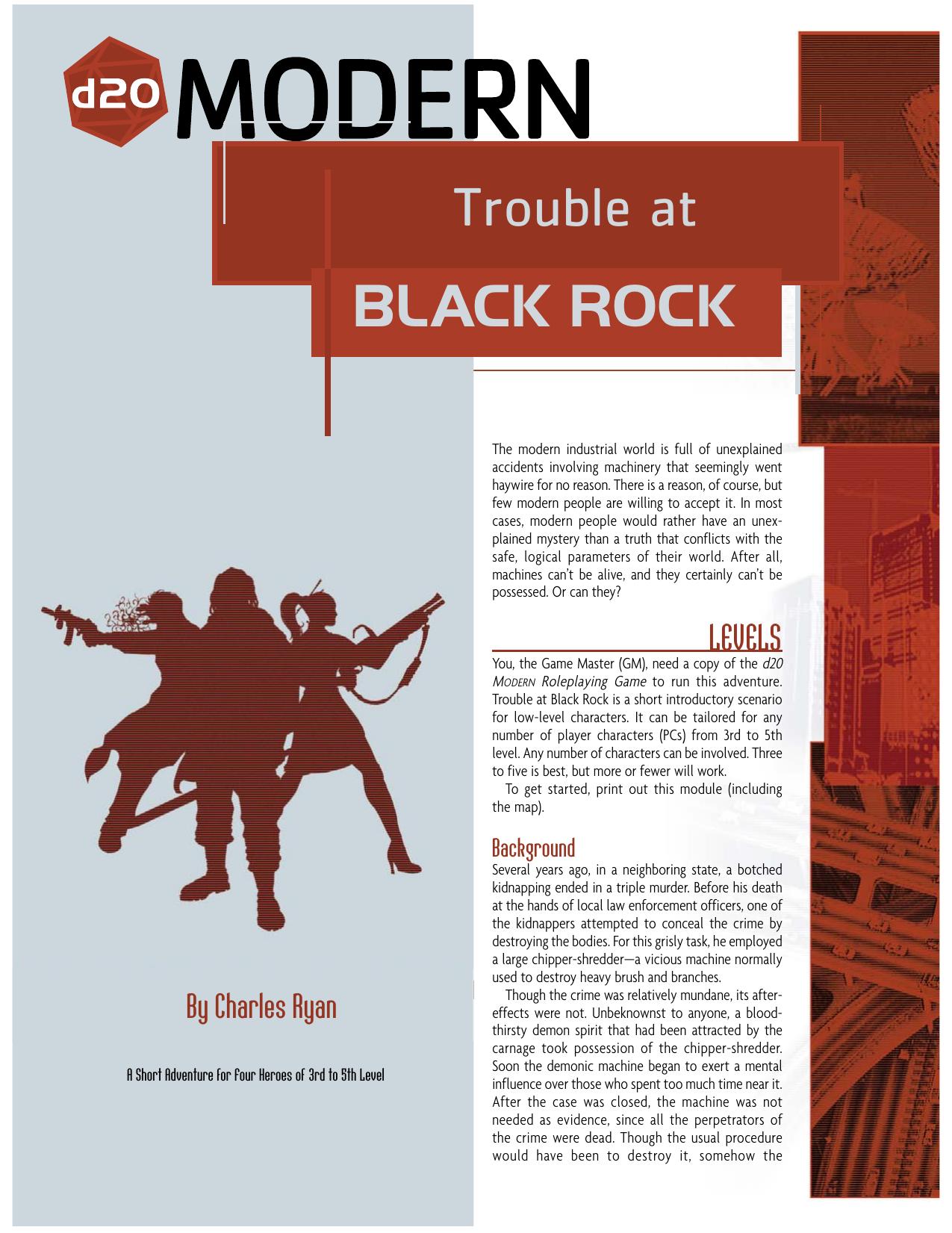 d20 BLACK ROCK by NANCY WALKER