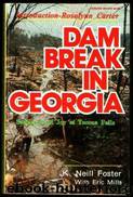 dam break in georgia by K. Neill Foster