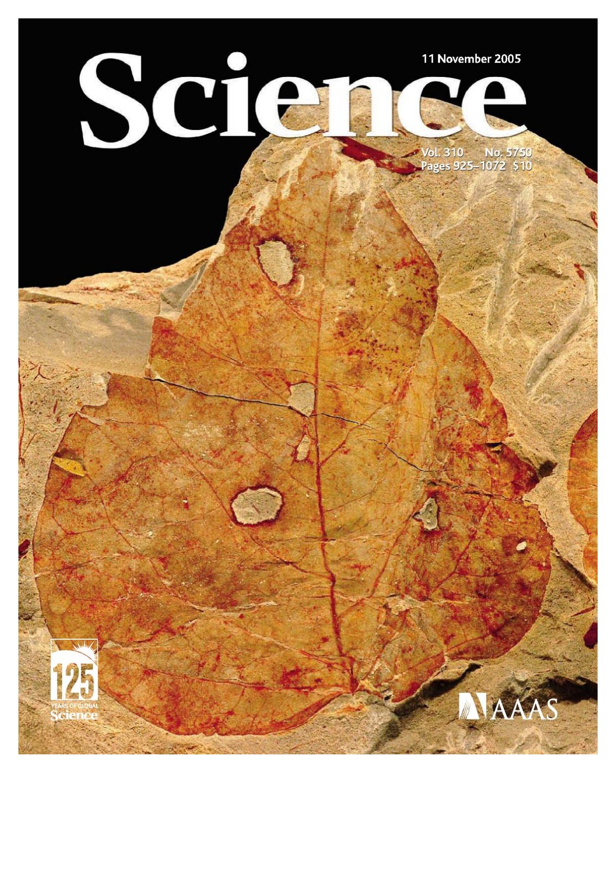 document name: Science.Magazine.November.11.2005.PDF.eBook-YYePG, page number: 0, size of page: 594 x 756 by 皇太子