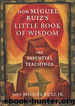 don Miguel Ruiz's Little Book of Wisdom by don Miguel Ruiz