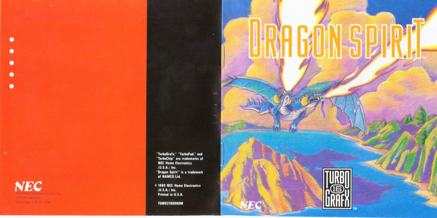 dragon spirit usa by Unknown