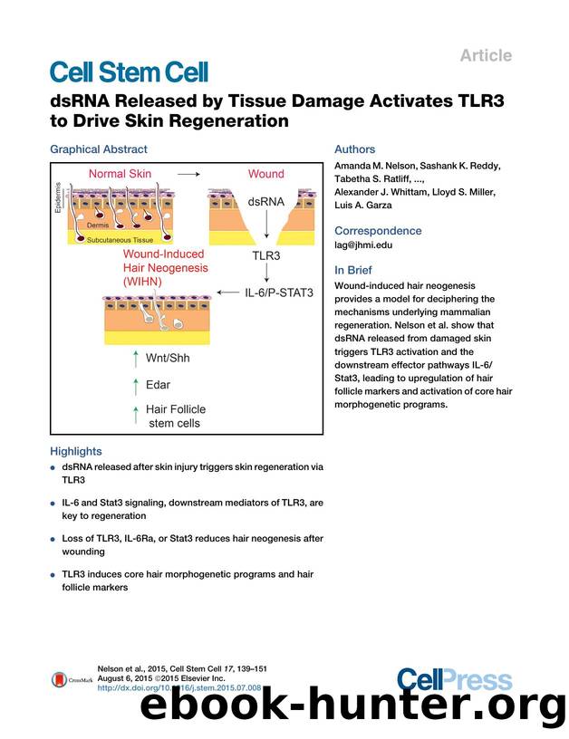 dsRNA Released by Tissue Damage Activates TLR3 to Drive Skin Regeneration by unknow