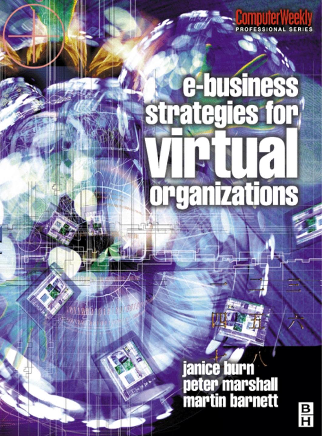 e-Business Strategies for Virtual Organizations (Computer Weekly Professional) by Janice Burn Peter Marshall Martin Barnett