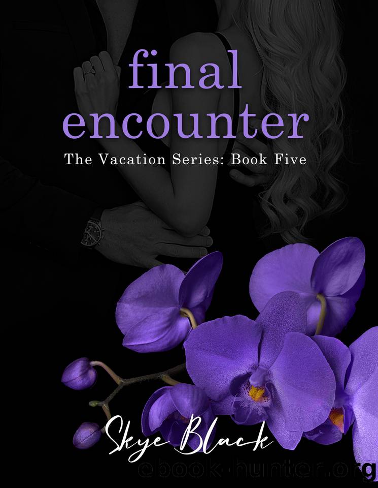 final encounter (the vacation series Book 5) by Black Skye