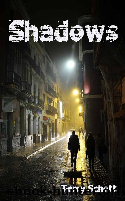 game is life 05 - shadows by Terry Schott