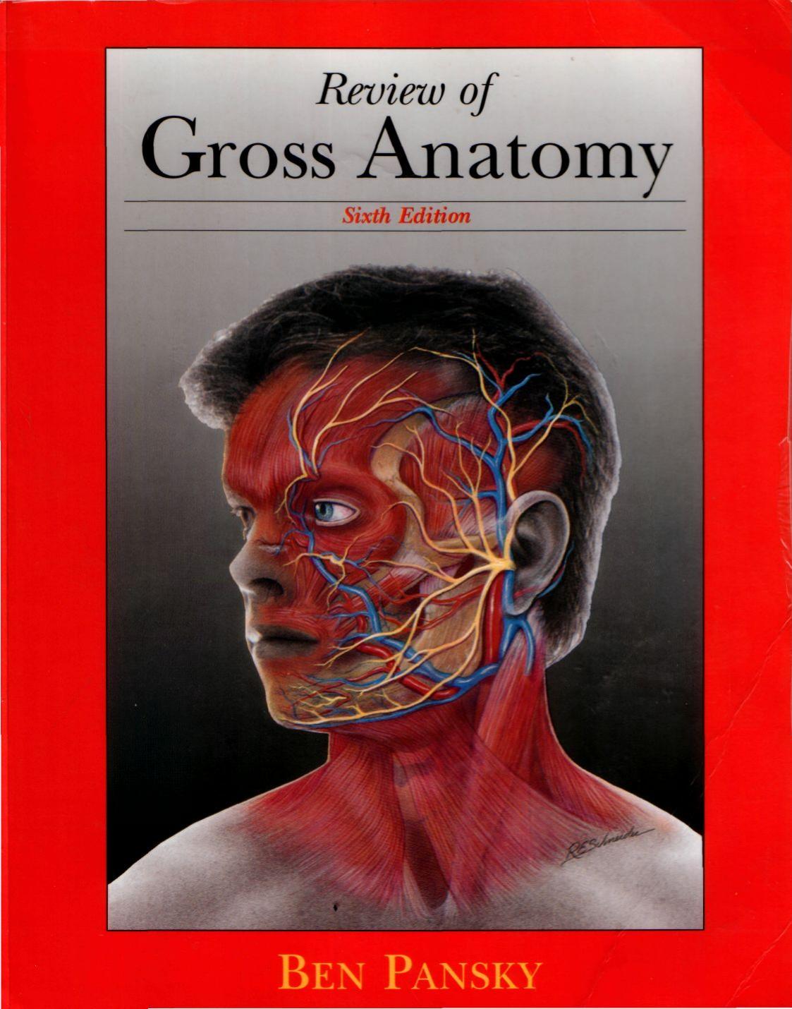 gross anatomy by Unknown