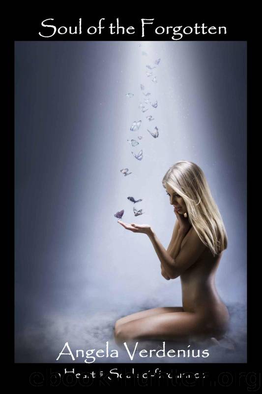 heart & soul 10 - soul of the forgotten by verdenius angela