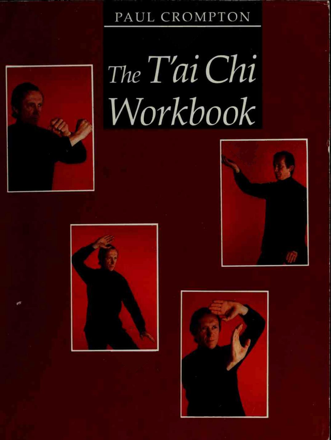 icerbox the tai chi workbook by Unknown