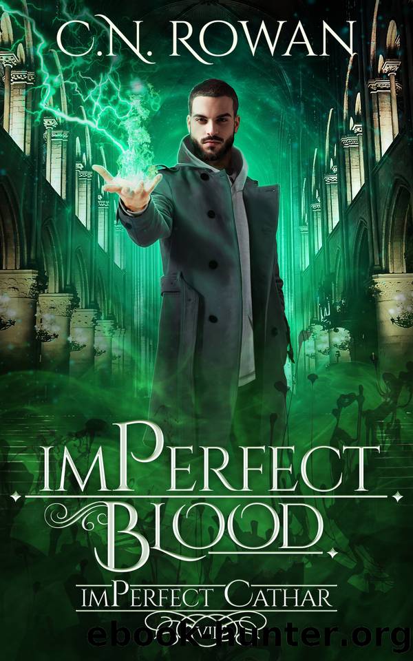 imPerfect Blood: A Gritty Urban Fantasy Series (The imPerfect Cathar Book 7) by C.N. Rowan