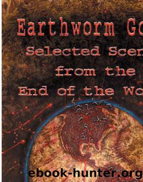 in0 by Selected Scenes From The End Of The World